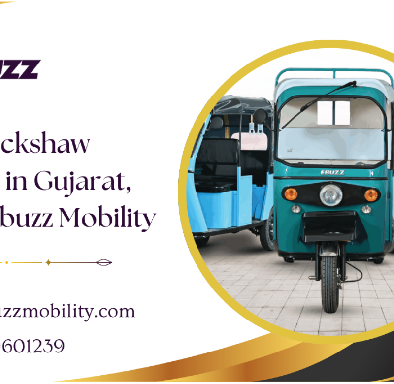 Best E Rickshaw Supplier in Gujarat, India
